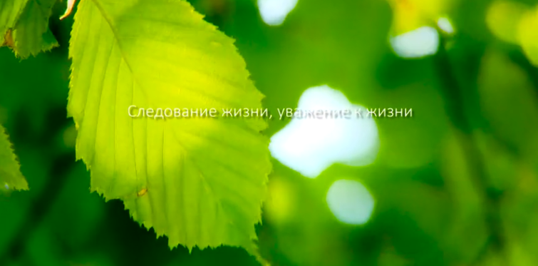 新宝GG集团形象片（русский）