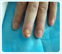 新宝GG—创立事业平台