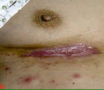 新宝GG—创立事业平台