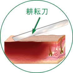新宝GG—创立事业平台