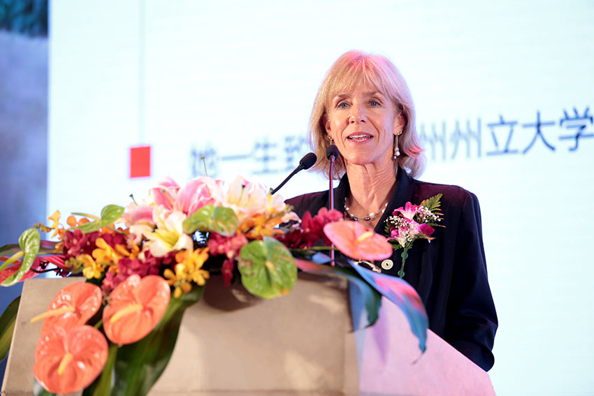 新宝GG—创立事业平台