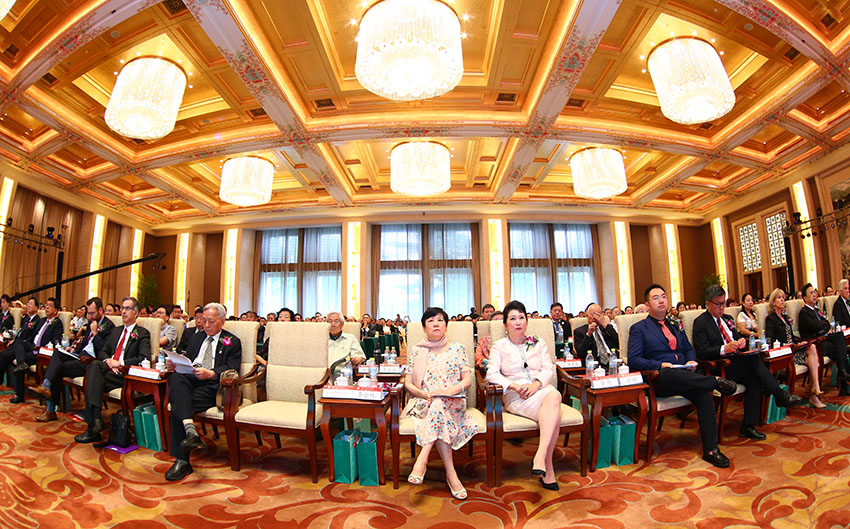 新宝GG—创立事业平台