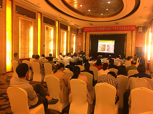 新宝GG—创立事业平台