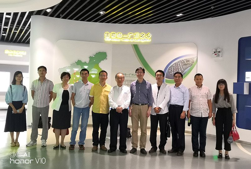 新宝GG—创立事业平台