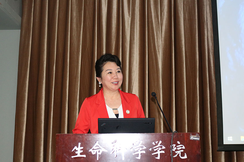 新宝GG—创立事业平台