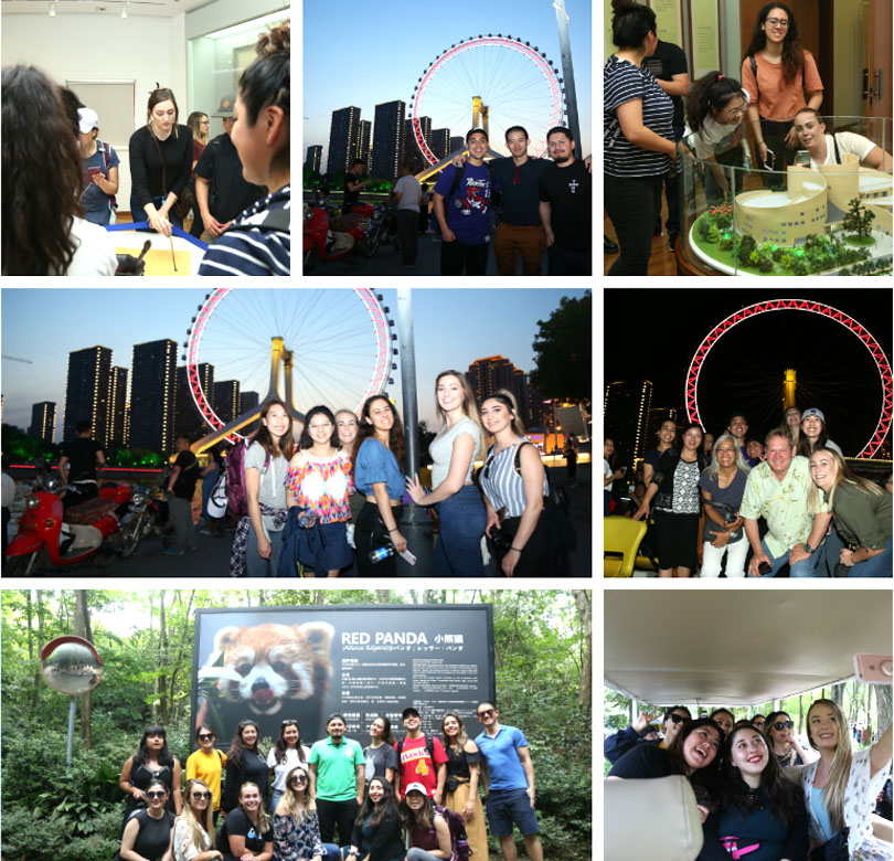 新宝GG—创立事业平台