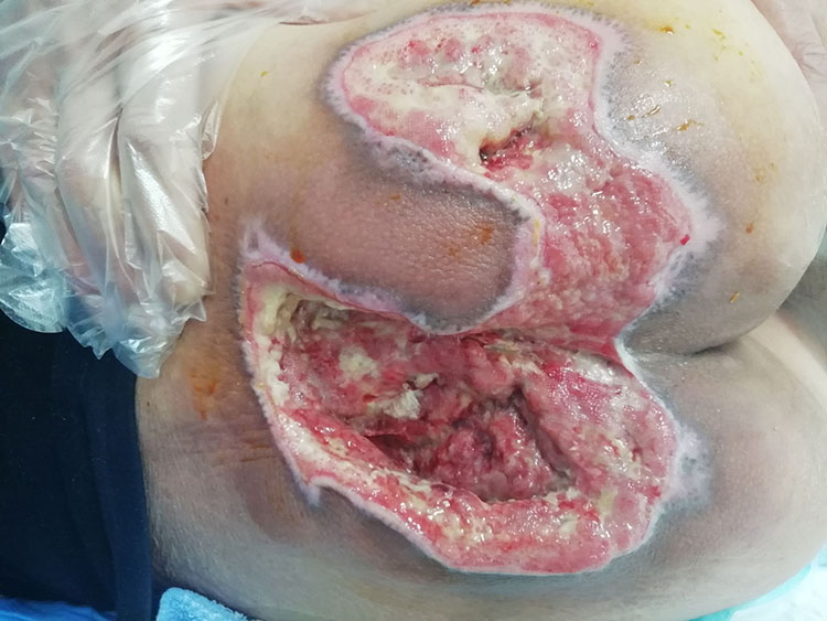 新宝GG—创立事业平台