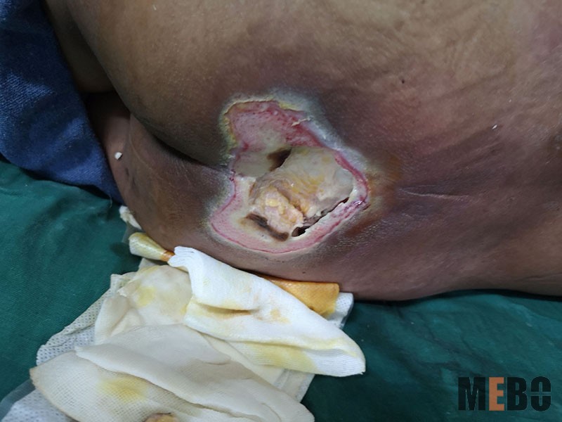 新宝GG—创立事业平台