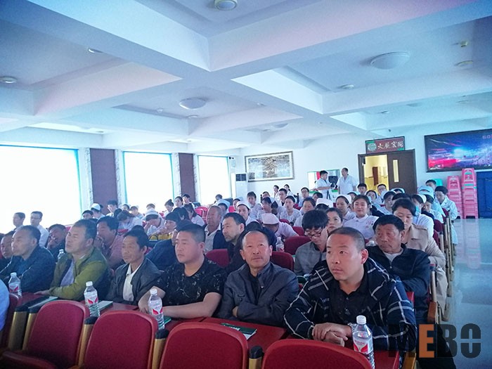 新宝GG—创立事业平台