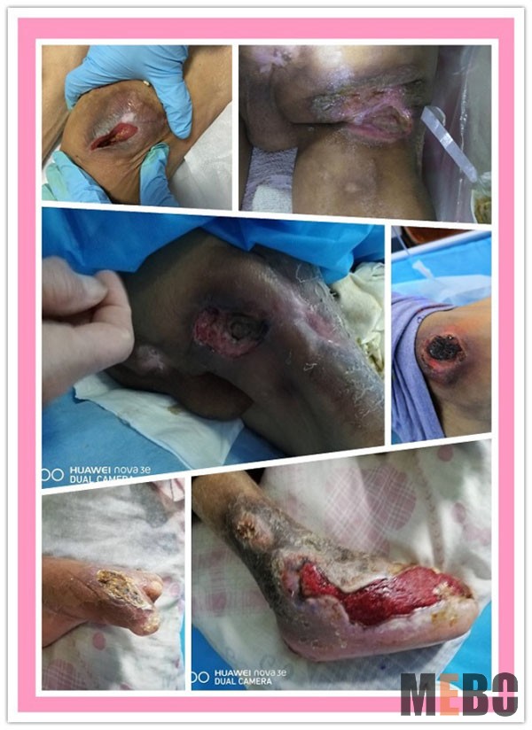 新宝GG—创立事业平台