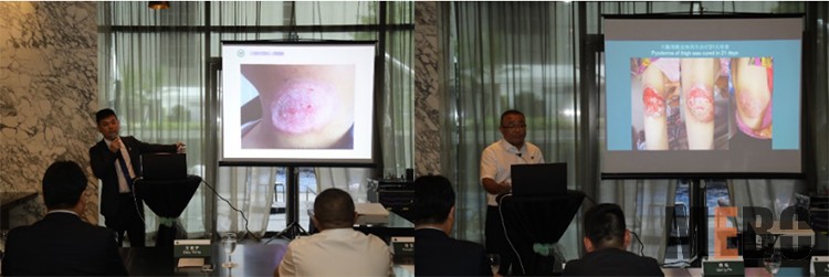 新宝GG—创立事业平台