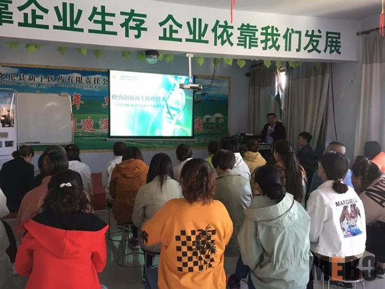 新宝GG—创立事业平台