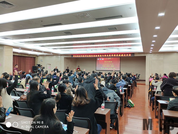 新宝GG—创立事业平台