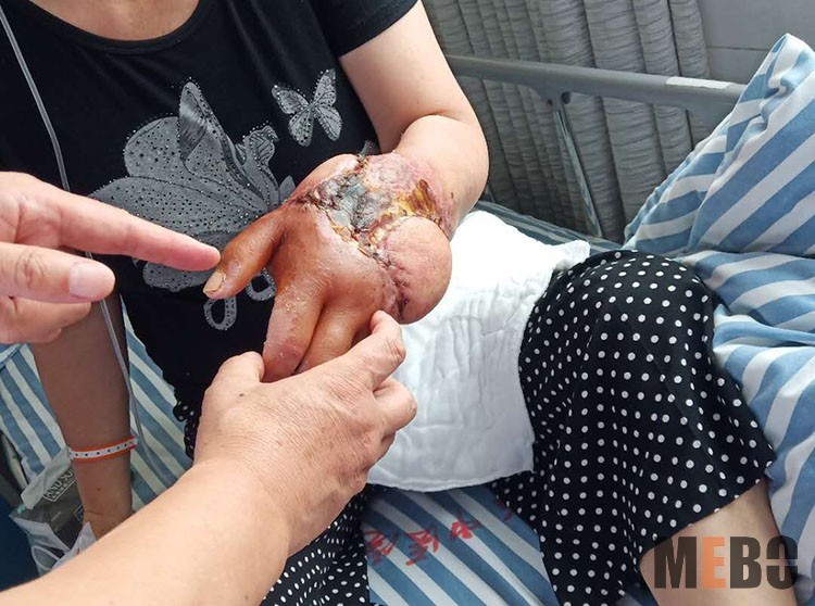 新宝GG—创立事业平台