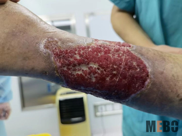 新宝GG—创立事业平台