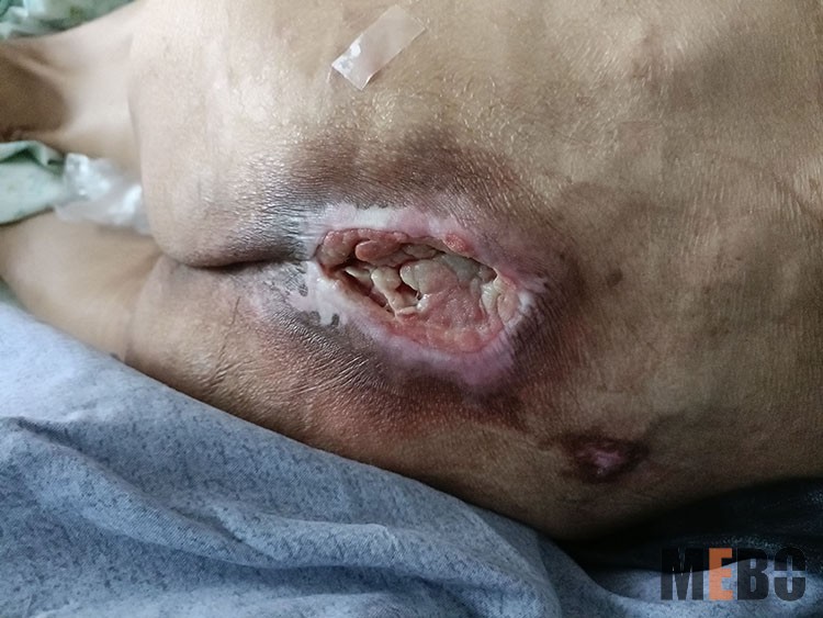 新宝GG—创立事业平台