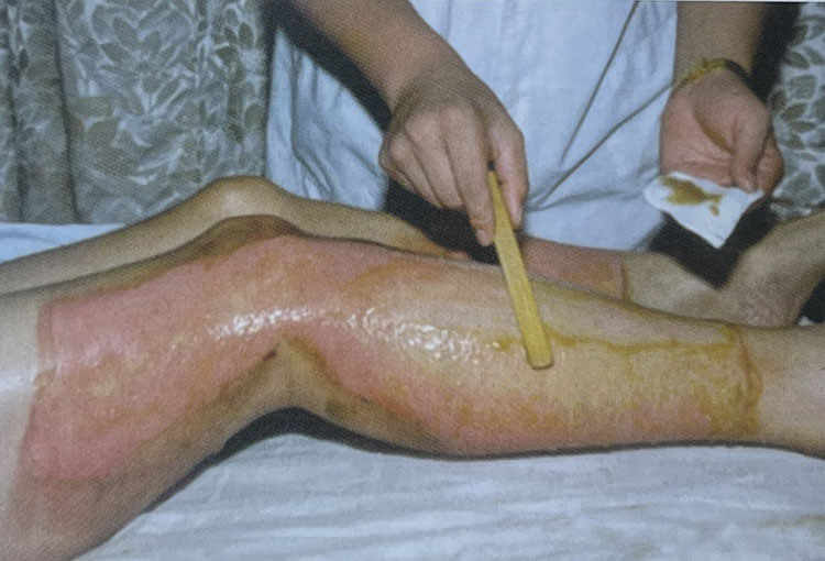 新宝GG—创立事业平台