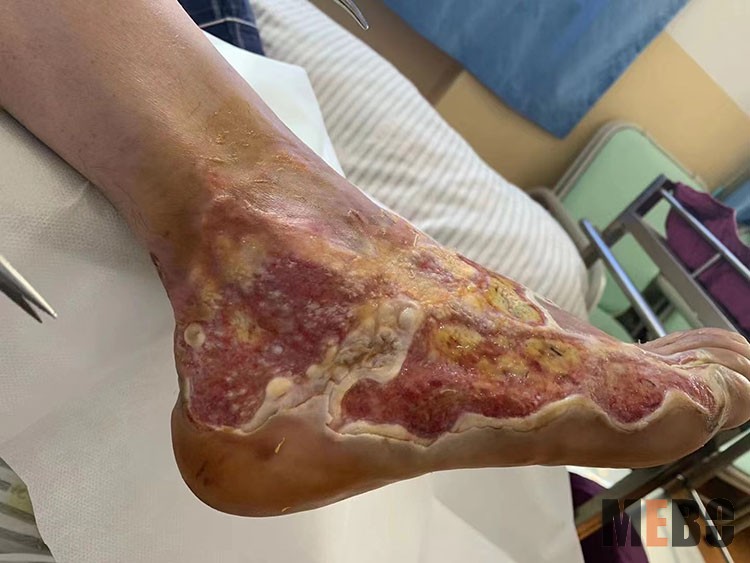 新宝GG—创立事业平台