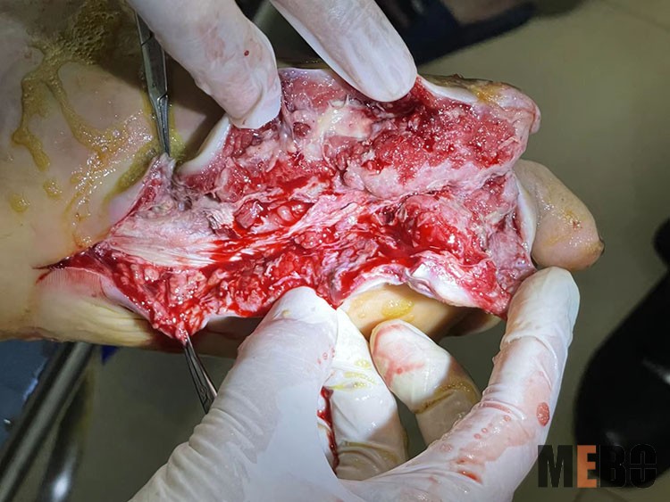 新宝GG—创立事业平台