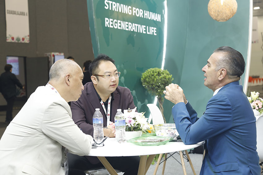 新宝GG—创立事业平台