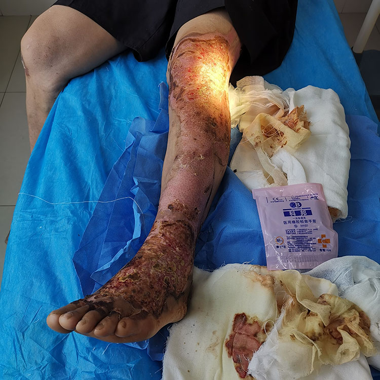 新宝GG—创立事业平台