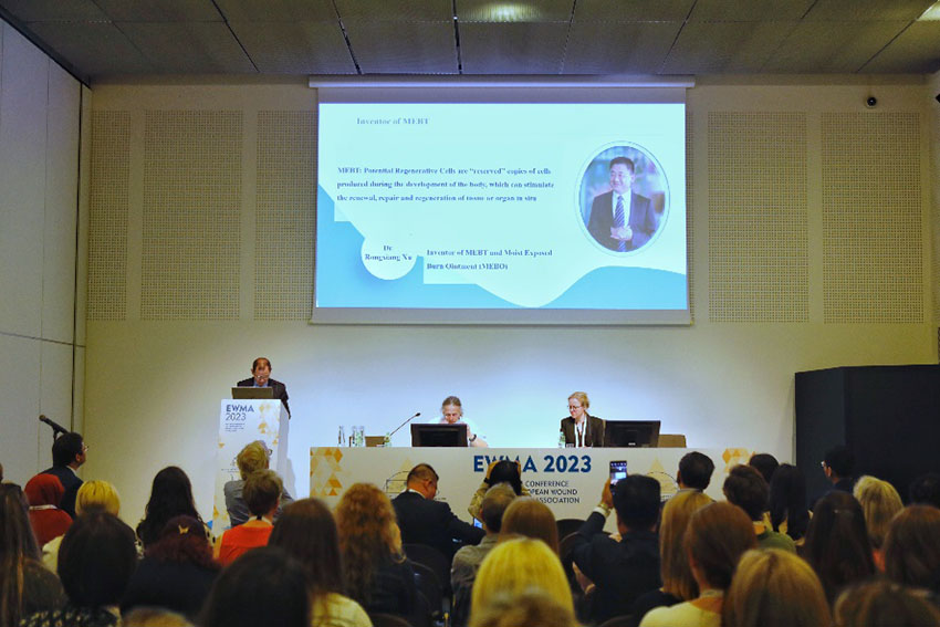 新宝GG—创立事业平台