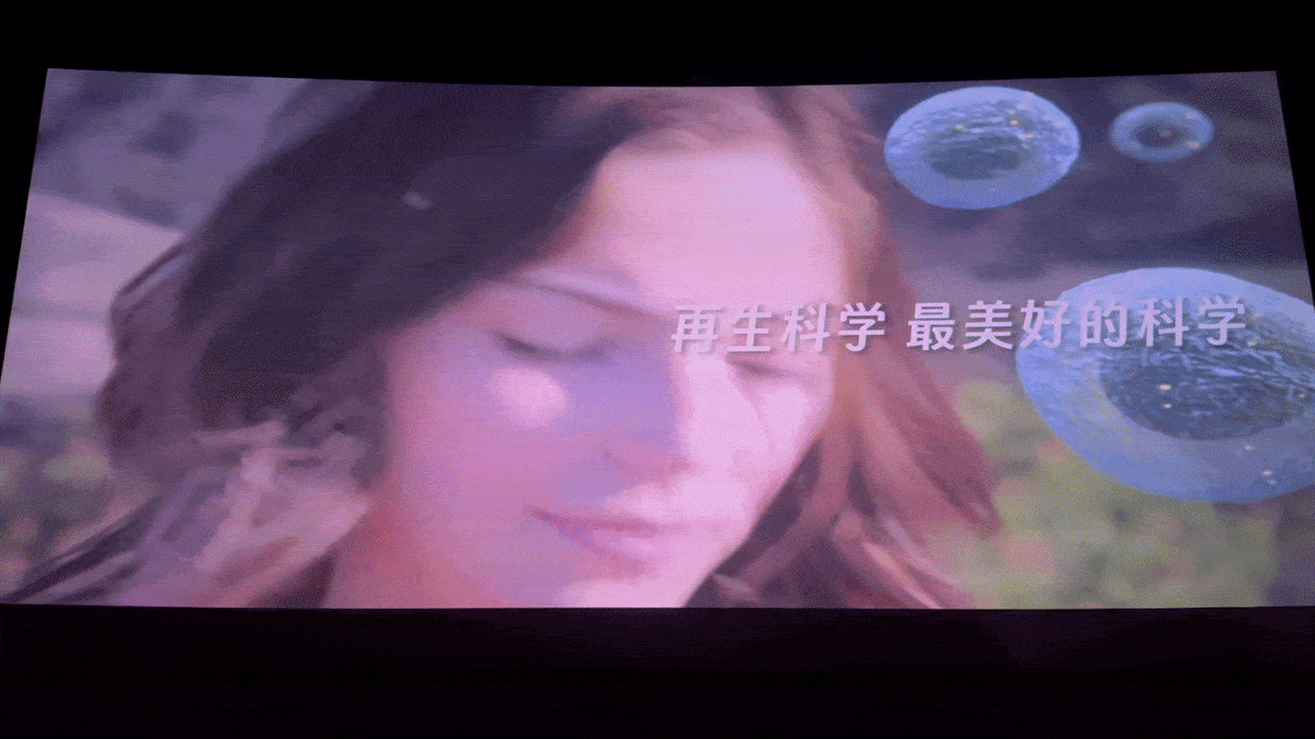 新宝GG—创立事业平台