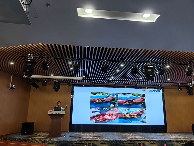 新宝GG—创立事业平台