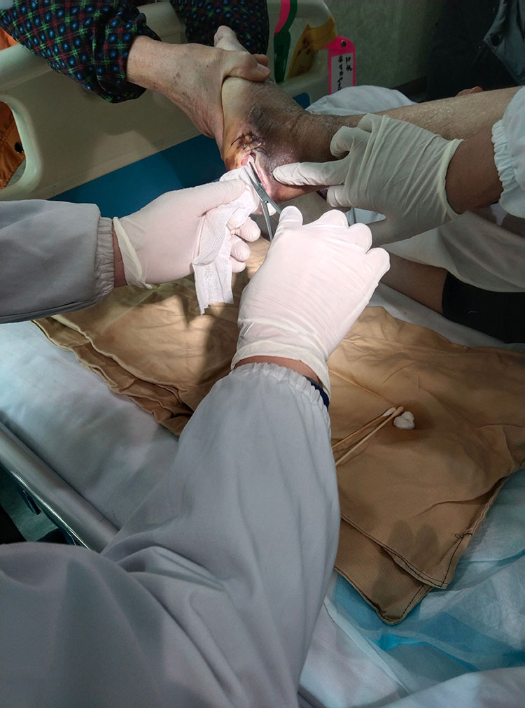 新宝GG—创立事业平台