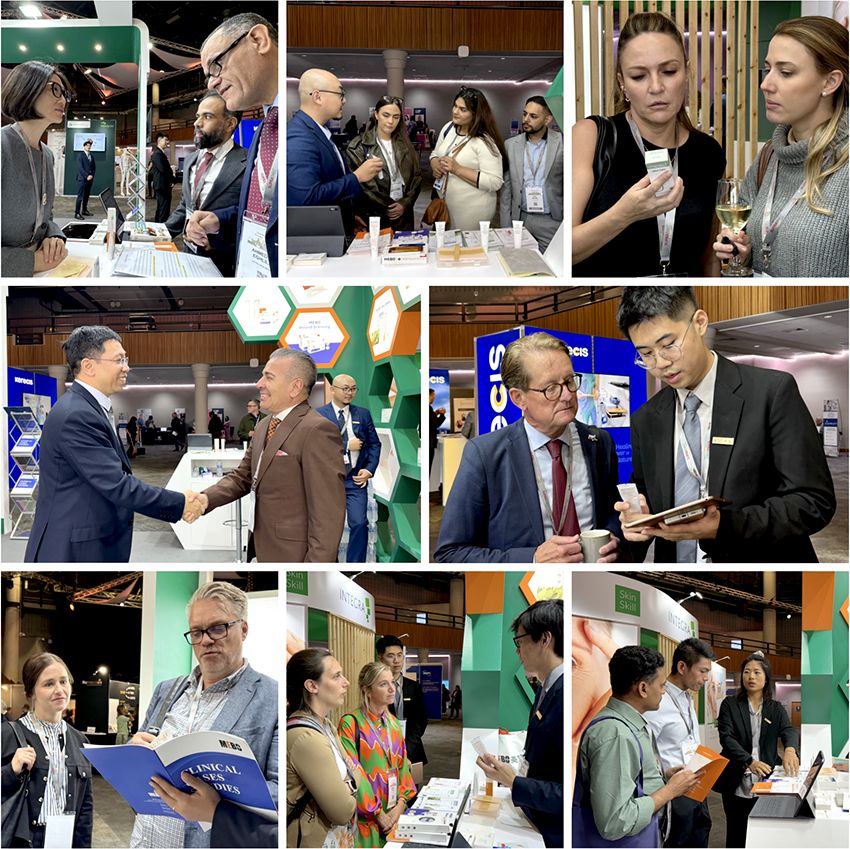 新宝GG—创立事业平台