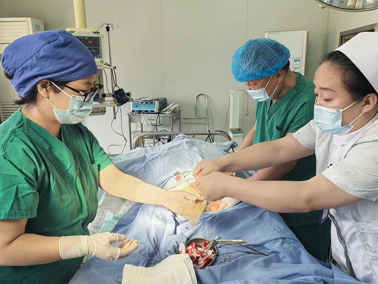 新宝GG—创立事业平台