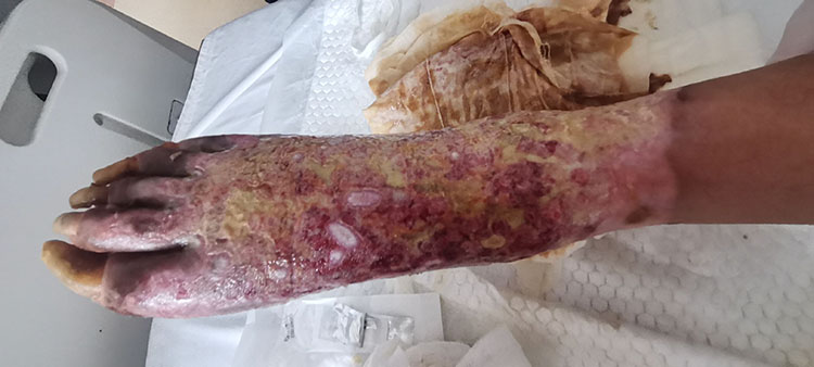 新宝GG—创立事业平台