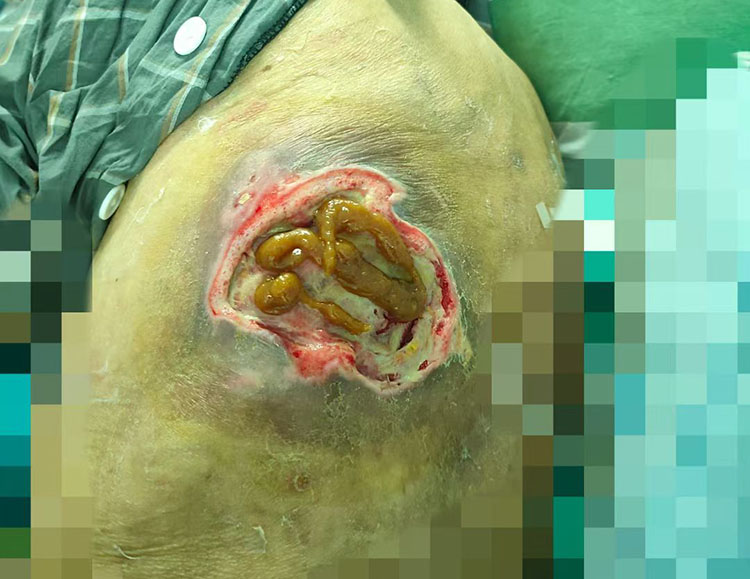 新宝GG—创立事业平台