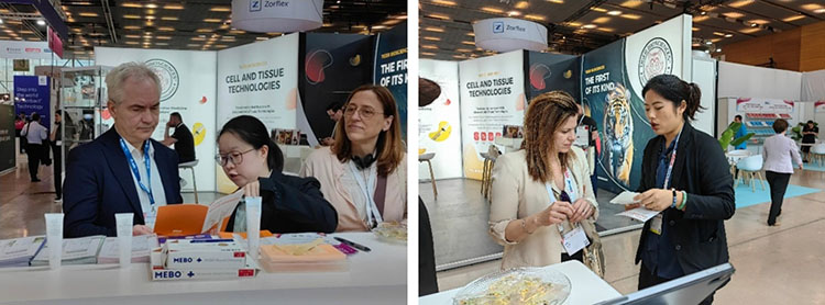 新宝GG—创立事业平台