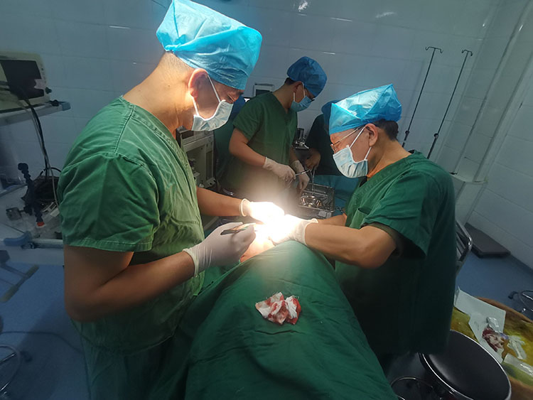 新宝GG—创立事业平台