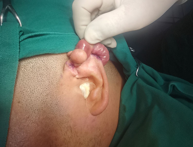 新宝GG—创立事业平台