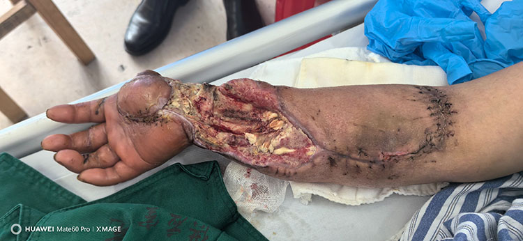 新宝GG—创立事业平台