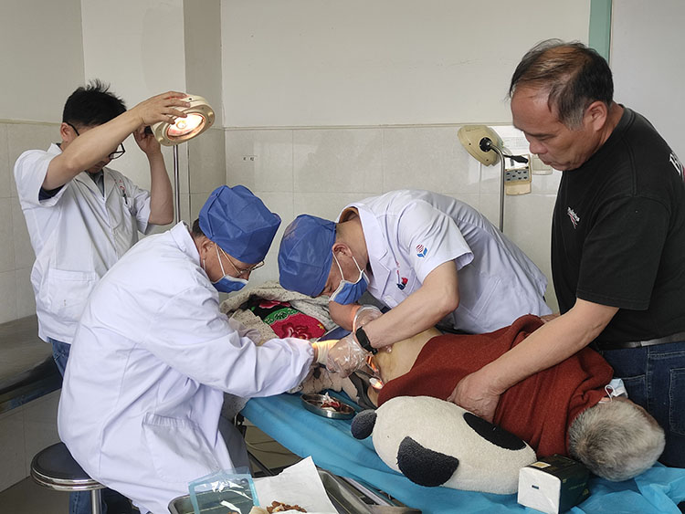 新宝GG—创立事业平台