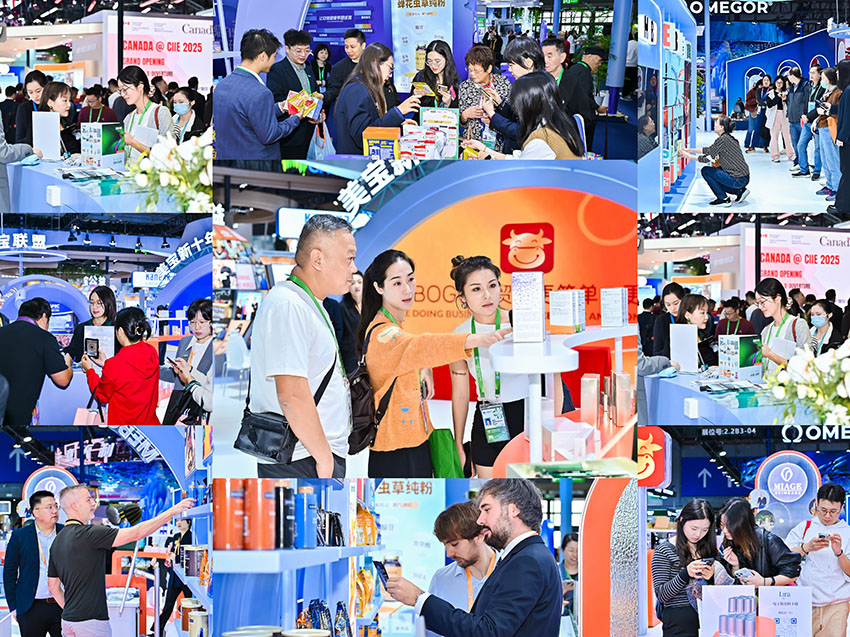 新宝GG—创立事业平台