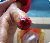 新宝GG—创立事业平台