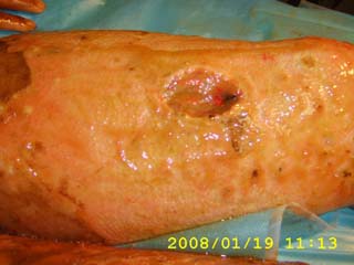 新宝GG—创立事业平台