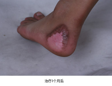 新宝GG—创立事业平台