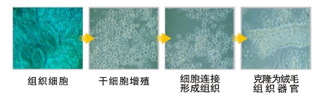 新宝GG—创立事业平台