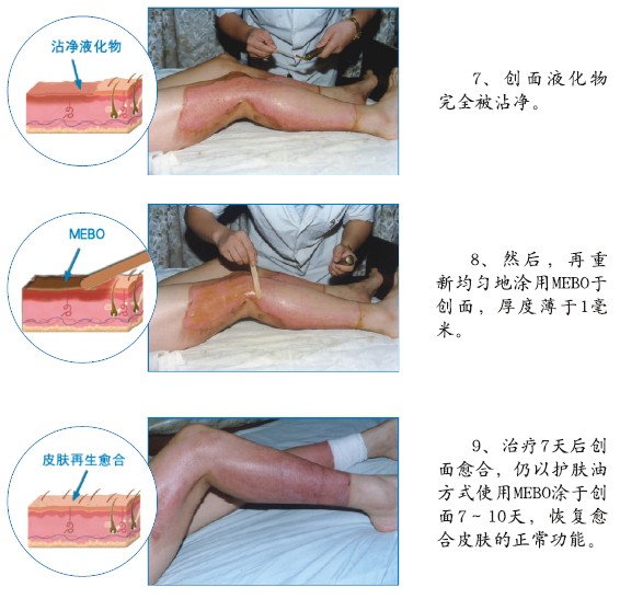 新宝GG—创立事业平台