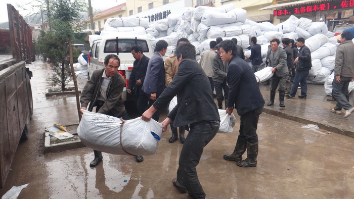 新宝GG—创立事业平台