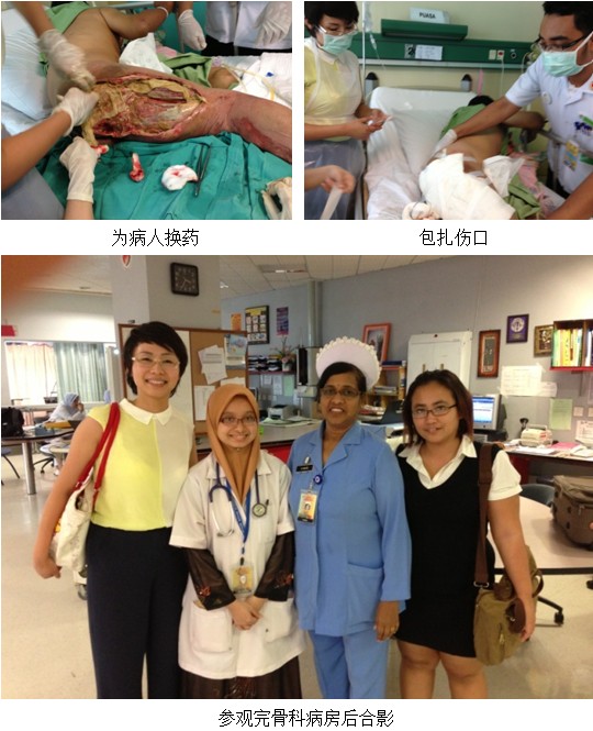 新宝GG—创立事业平台