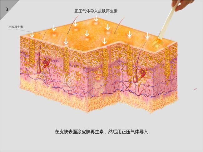 新宝GG—创立事业平台