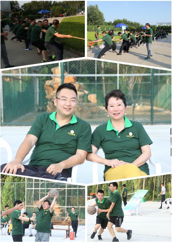 新宝GG—创立事业平台